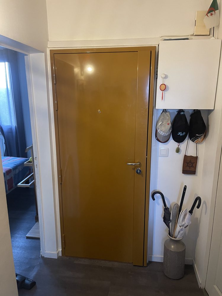 Blindage de porte d'entrée avec finition laquée
